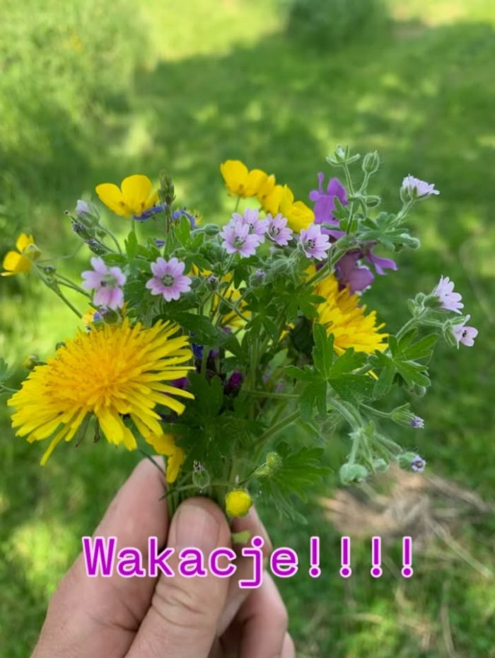 WAKACJE!!!!

Dobiegł końca rok szkolny, wszyscy dzielnie pracowali, ćwiczyli i się rozwijali!! Czas na zasłużony odpoczynek - wakacje!!

Dziękujemy Wam za ten sezon, będziemy na Was czekać w nowym roku szkolnym 2025/2026!

Na wakacje życzymy Wam, aby skóra się zazlociła od słońca ☀️, by owiały Was pachnące przyrodą wiatry 💨, by wykąpały Was jeziora i morza 🌊. Żebyście się napatrzyli na zieleń łąk 🍀 i nasłuchali szumu fal, lasu i śpiewu ptaków 🐦‍⬛.  Bądźcie bezpieczni i miejcie niezapomniane przygody wśród cudownych ludzi i pięknej muzyki 🎶.

Do zobaczenia we wrześniu!! 🫶🏻